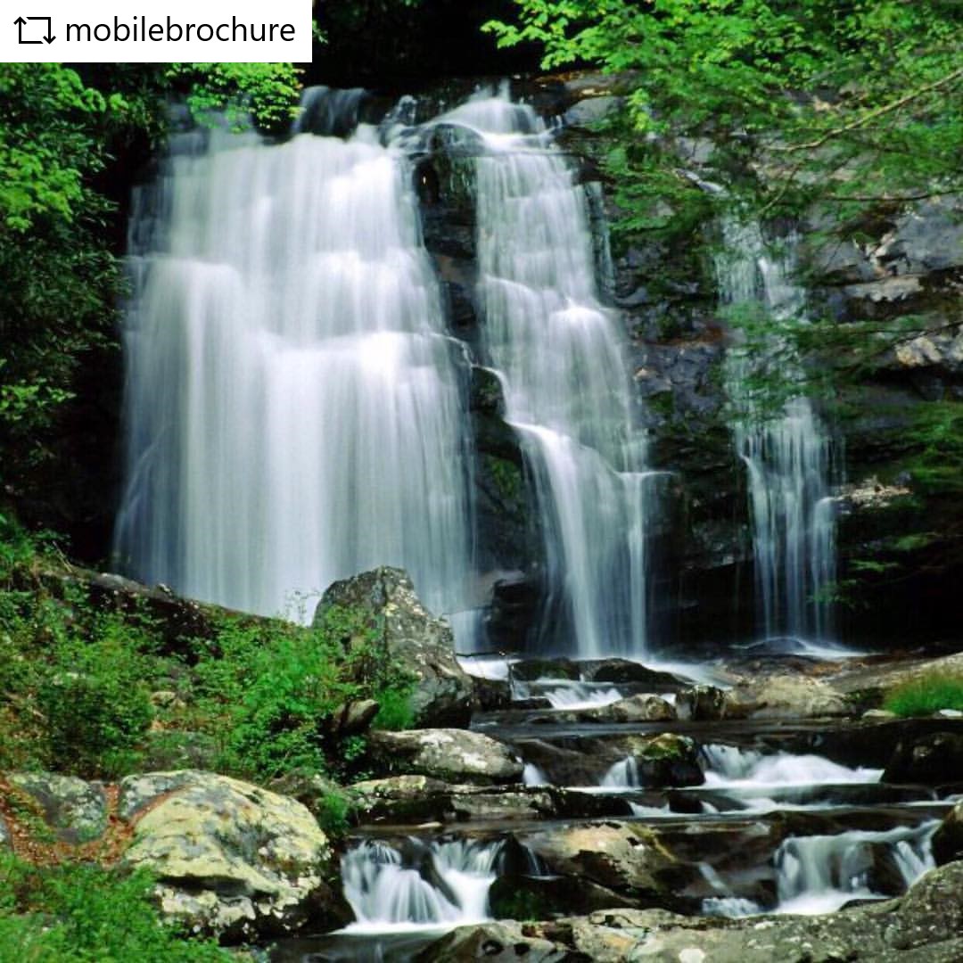 Hidden Waterfalls of the Smokies 